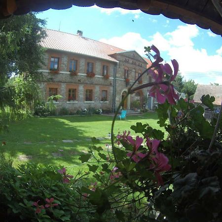 Villa Polana à Leśna Extérieur photo