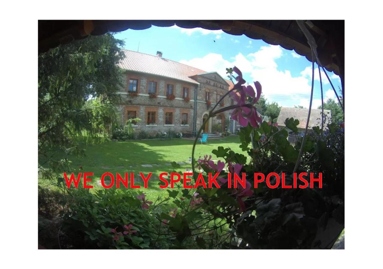 Villa Polana à Leśna Extérieur photo
